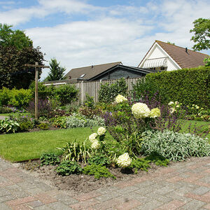 Achtertuin in Swifterbant