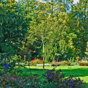 Tuin vanaf de oprit gezien