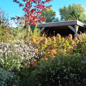 Tuin voor de overkapping