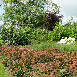 golvende borderranden