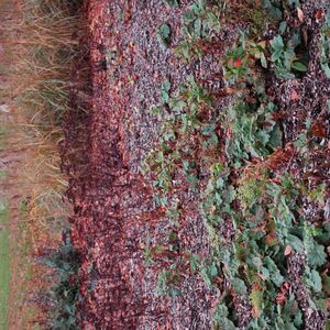 medisch centrum herfst 2014