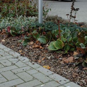 medisch centrum herfst 2014