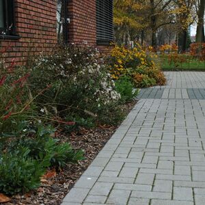 medisch centrum herfst 2014 