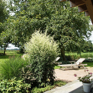 vanuit de overkapping