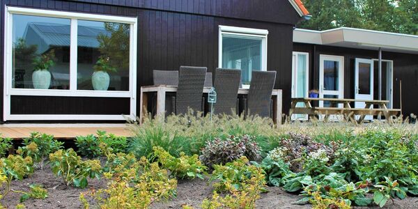 Een kijkje op het nieuwe terra