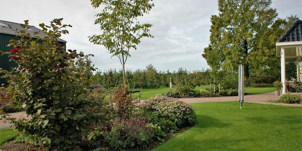 Vanaf de oprit gezien