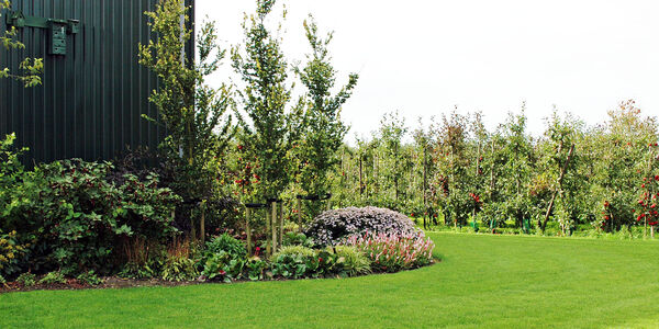 Zicht op de appelbomen