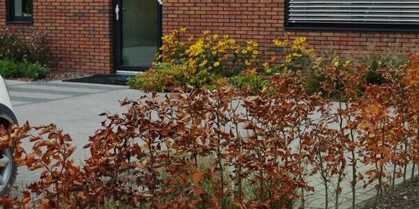 medisch centrum herfst 2014 