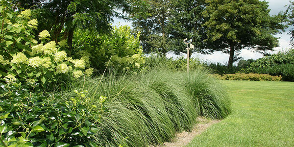 natuurlijke beplanting