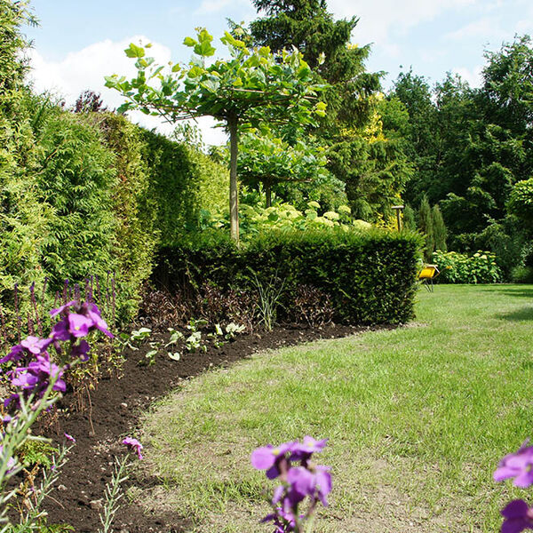 Beplanting aanbrengen