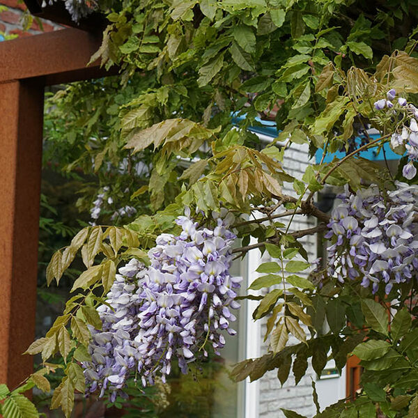 Cortenstalen pergola