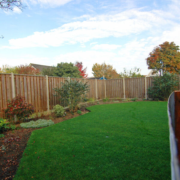 Overzicht van de achtertuin