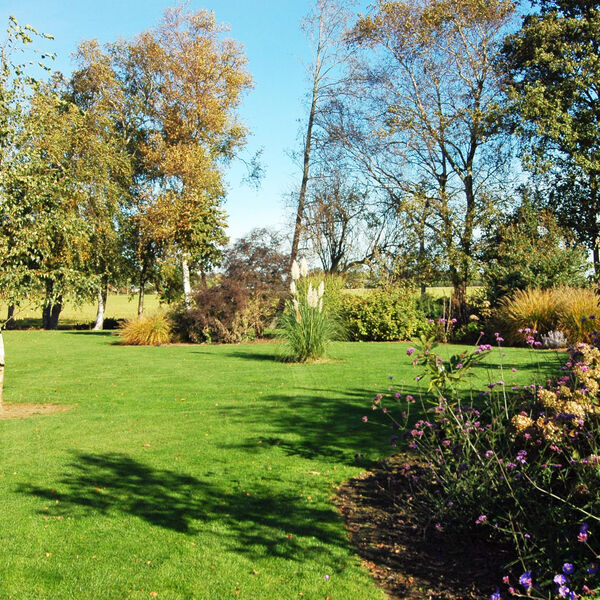 Tuin