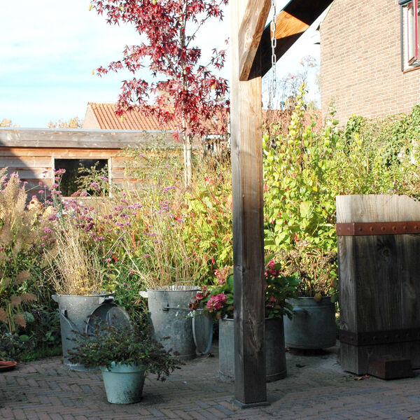 Vanuit de overkapping