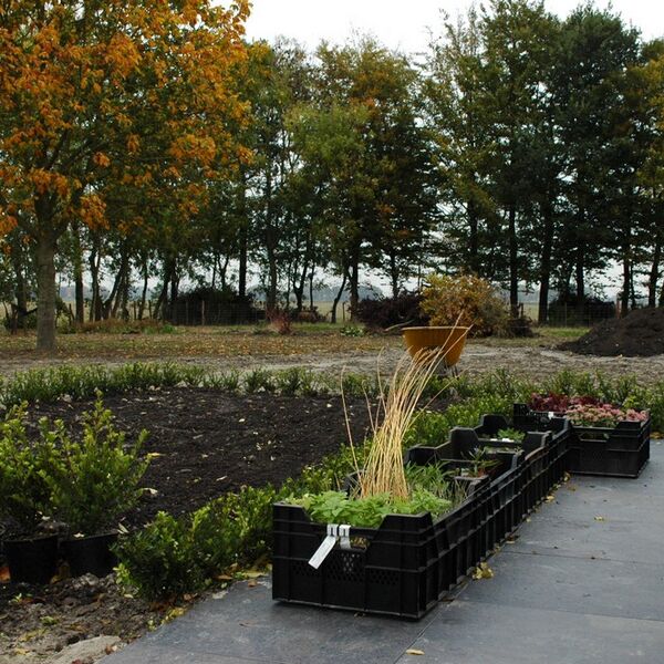 beplanting uitzetten