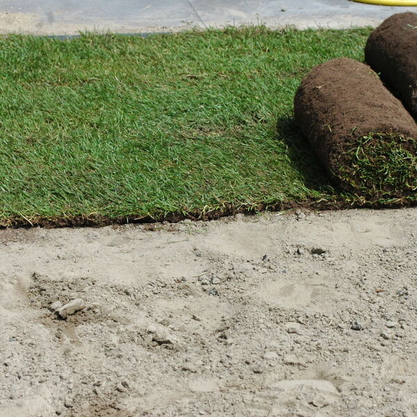grasmatten leggen