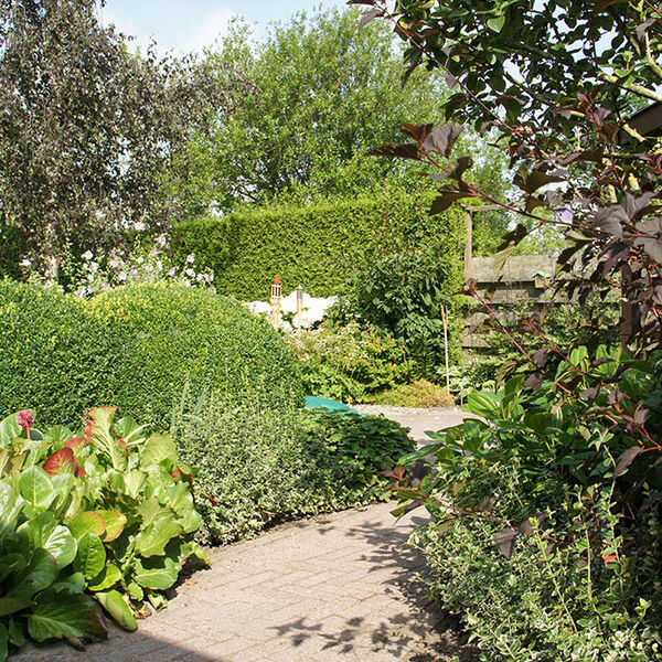 heel veel mooie beplanting