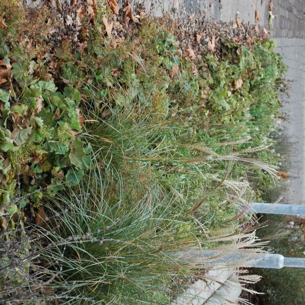 medisch centrum herfst 2014